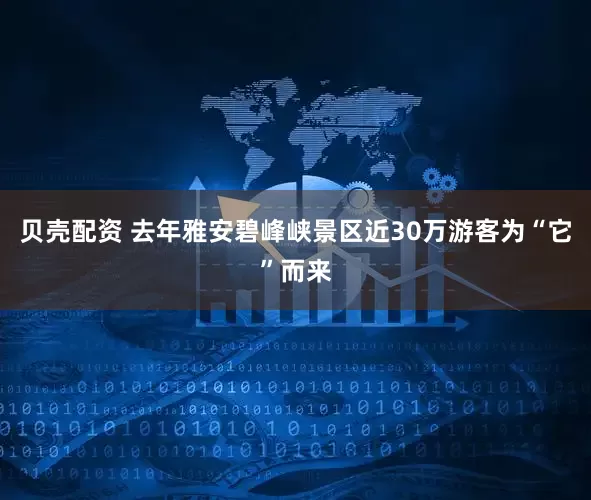 贝壳配资 去年雅安碧峰峡景区近30万游客为“它”而来
