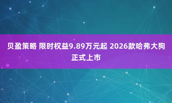 贝盈策略 限时权益9.89万元起 2026款哈弗大狗正式上市