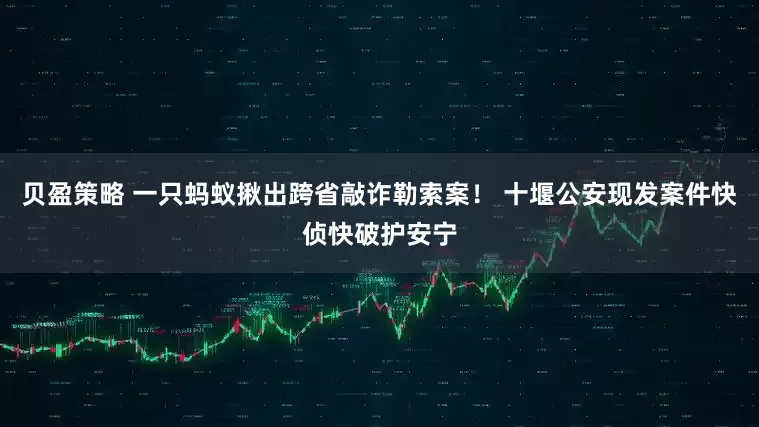 贝盈策略 一只蚂蚁揪出跨省敲诈勒索案！ 十堰公安现发案件快侦快破护安宁