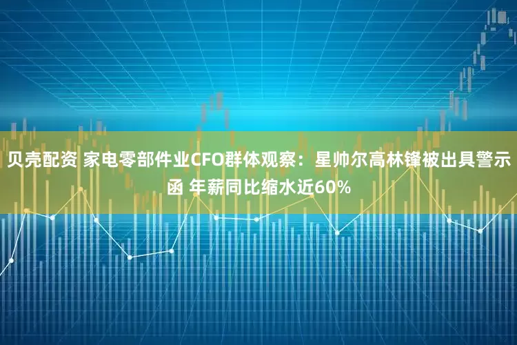 贝壳配资 家电零部件业CFO群体观察：星帅尔高林锋被出具警示函 年薪同比缩水近60%