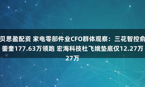 贝思盈配资 家电零部件业CFO群体观察：三花智控俞蓥奎177.63万领跑 宏海科技杜飞娥垫底仅12.27万
