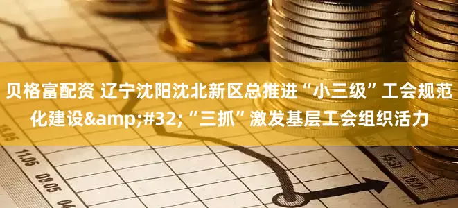 贝格富配资 辽宁沈阳沈北新区总推进“小三级”工会规范化建设&#32;“三抓”激发基层工会组织活力