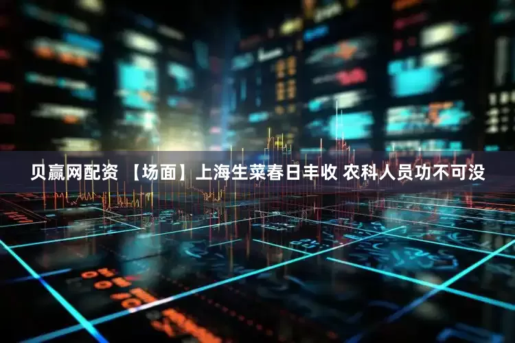 贝赢网配资 【场面】上海生菜春日丰收 农科人员功不可没